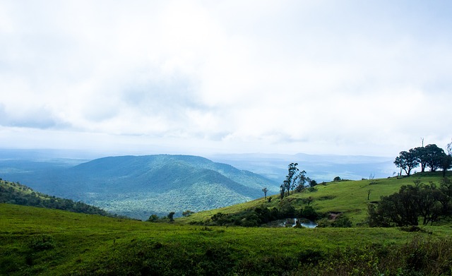 雷霆目前依 雷霆目前依