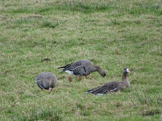 CBA：收获连胜 浙江方兴渡男篮102-98客胜浙江稠州金租男篮.