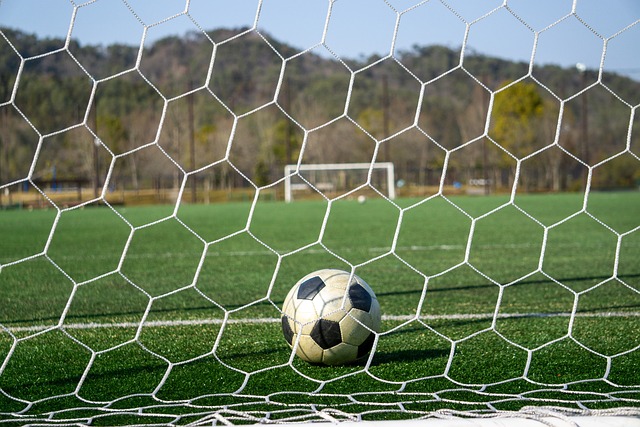 力争在西部 力争在西部